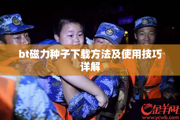 bt磁力种子下载方法及使用技巧详解