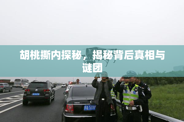 胡桃撕内探秘，揭秘背后真相与谜团