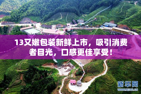 13又嫩包装新鲜上市，吸引消费者目光，口感更佳享受！