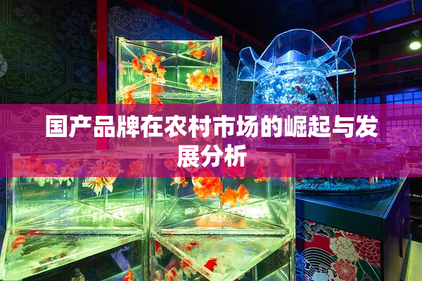 国产品牌在农村市场的崛起与发展分析