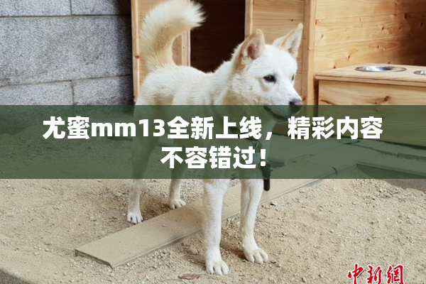 尤蜜mm13全新上线，精彩内容不容错过！