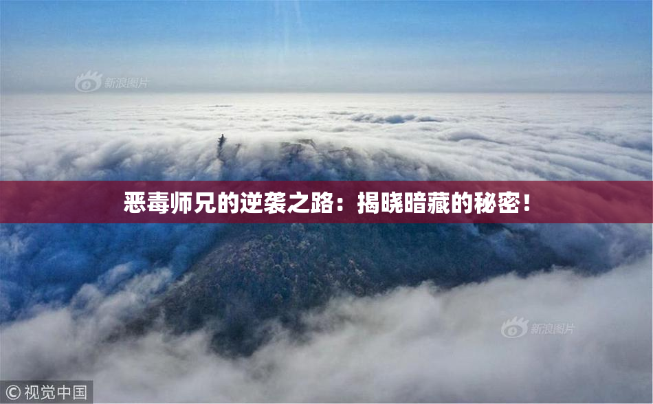 恶毒师兄的逆袭之路：揭晓暗藏的秘密！