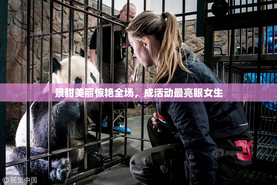 景甜美丽惊艳全场，成活动最亮眼女生