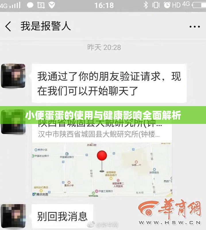 小便蛋蛋的使用与健康影响全面解析