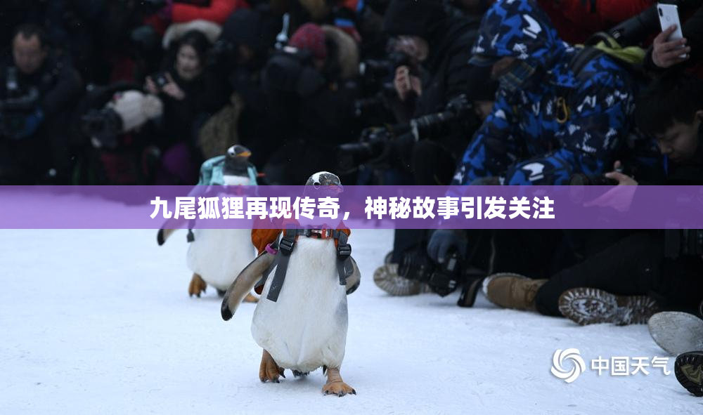 九尾狐狸再现传奇，神秘故事引发关注