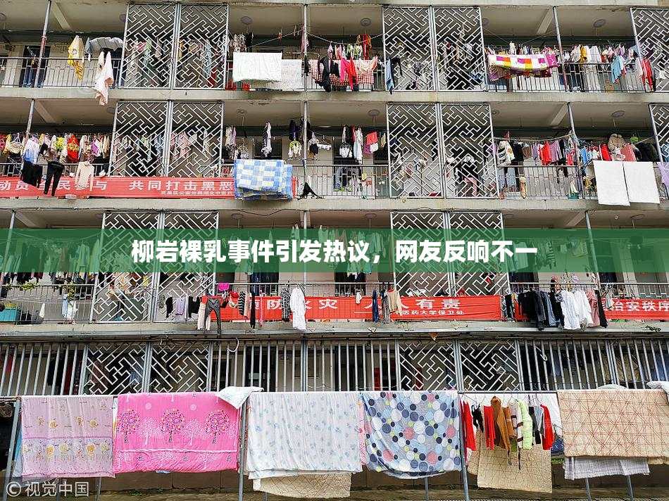 柳岩裸乳事件引发热议，网友反响不一