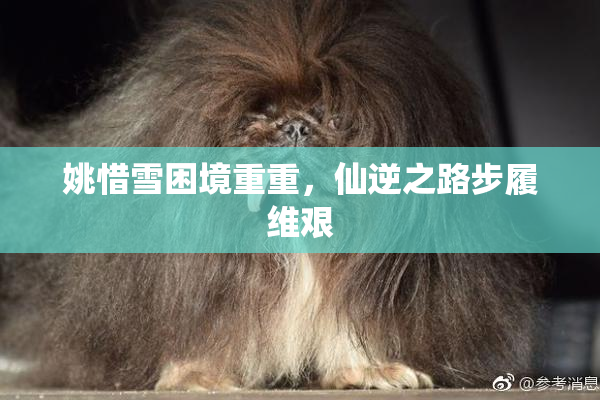 姚惜雪困境重重，仙逆之路步履维艰