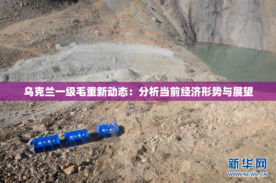 乌克兰一级毛重新动态：分析当前经济形势与展望