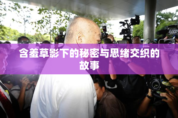 含羞草影下的秘密与思绪交织的故事