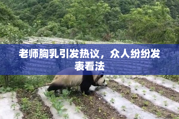 老师胸乳引发热议，众人纷纷发表看法