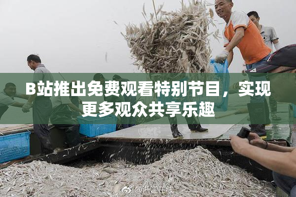 B站推出免费观看特别节目，实现更多观众共享乐趣