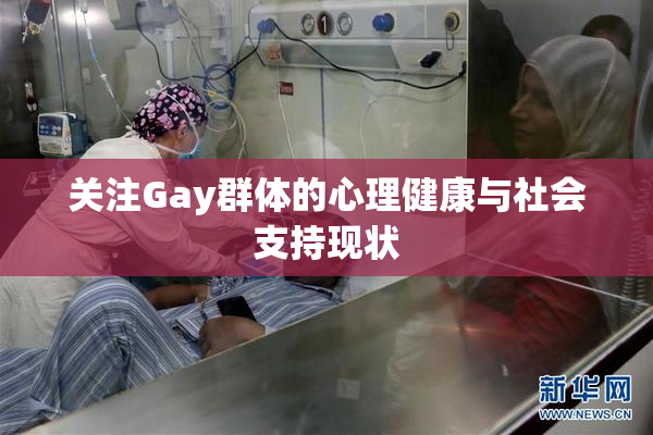 关注Gay群体的心理健康与社会支持现状
