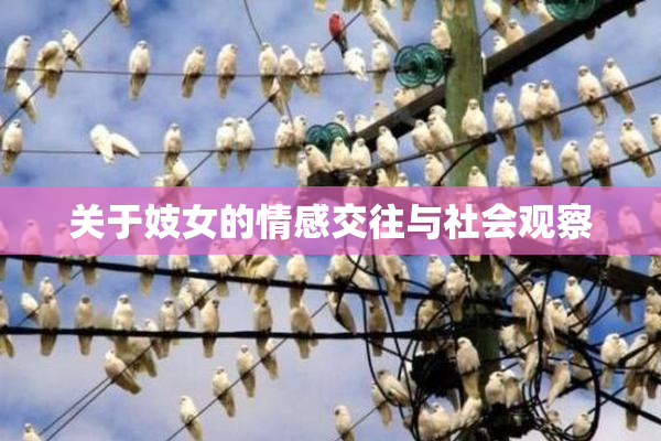 关于妓女的情感交往与社会观察