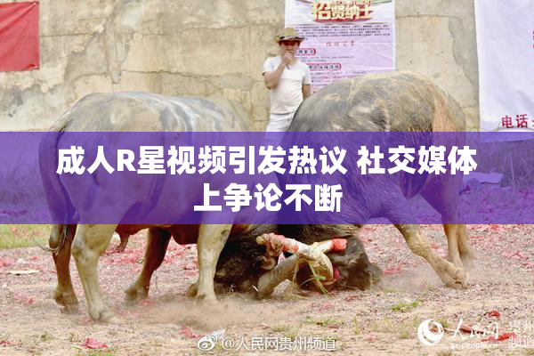 成人R星视频引发热议 社交媒体上争论不断