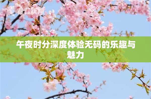 午夜时分深度体验无码的乐趣与魅力
