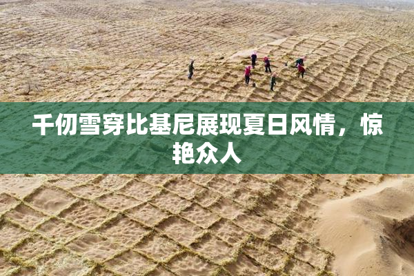 千仞雪穿比基尼展现夏日风情，惊艳众人