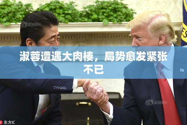 淑蓉遭遇大肉楱，局势愈发紧张不已
