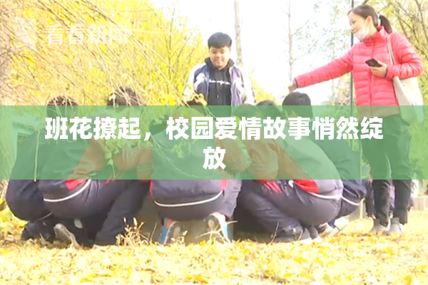 班花撩起，校园爱情故事悄然绽放