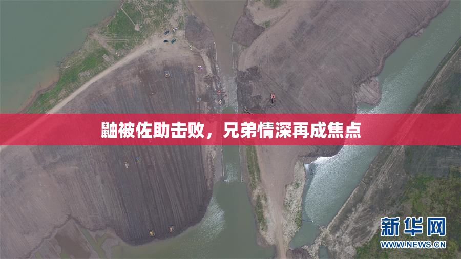 鼬被佐助击败，兄弟情深再成焦点