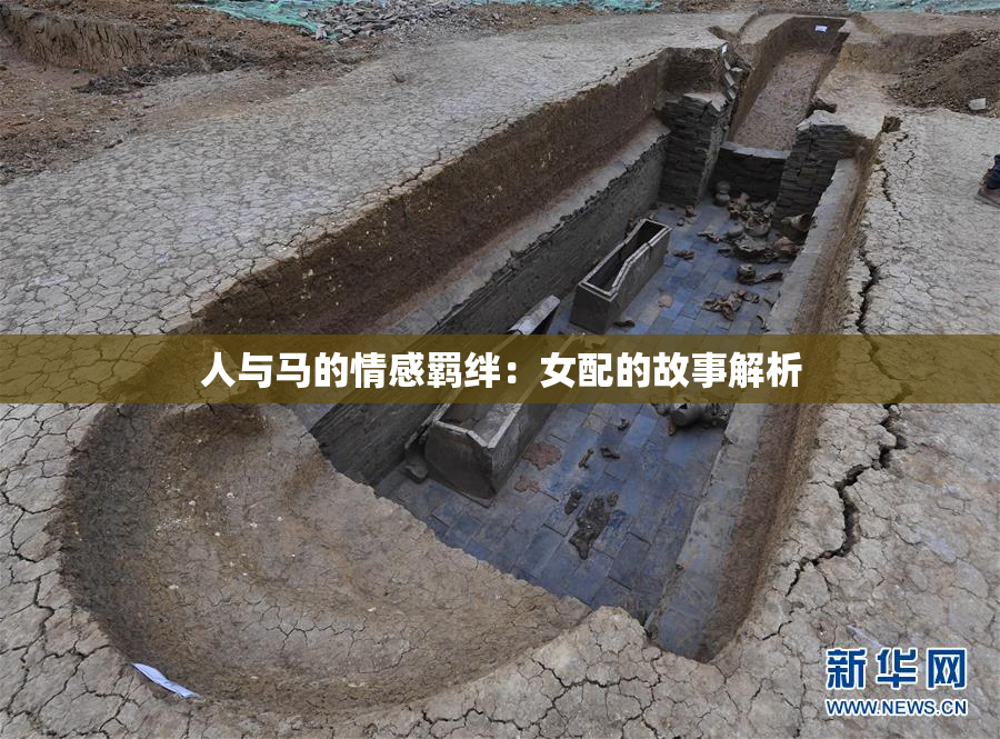 人与马的情感羁绊：女配的故事解析