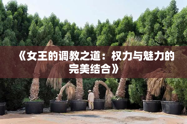 《女王的调教之道：权力与魅力的完美结合》