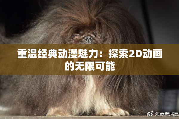 重温经典动漫魅力：探索2D动画的无限可能