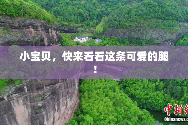 小宝贝，快来看看这条可爱的腿！
