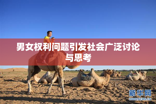 男女权利问题引发社会广泛讨论与思考