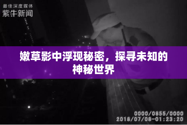 嫩草影中浮现秘密，探寻未知的神秘世界