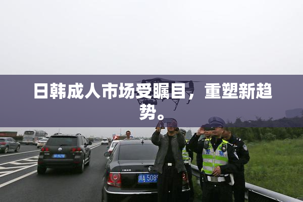 日韩成人市场受瞩目，重塑新趋势。