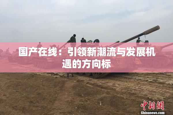 国产在线：引领新潮流与发展机遇的方向标