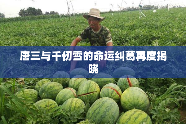 唐三与千仞雪的命运纠葛再度揭晓
