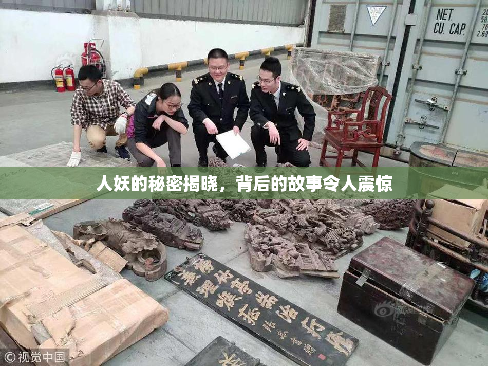 人妖的秘密揭晓，背后的故事令人震惊