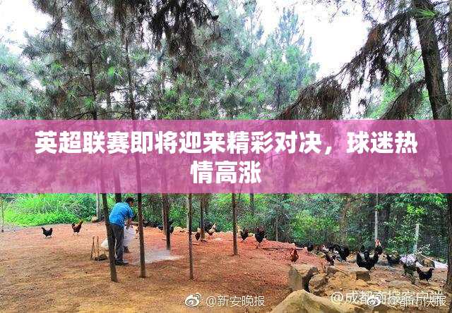 英超联赛即将迎来精彩对决，球迷热情高涨