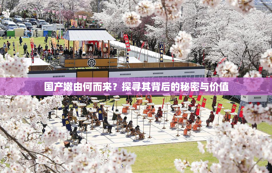 国产嫩由何而来？探寻其背后的秘密与价值