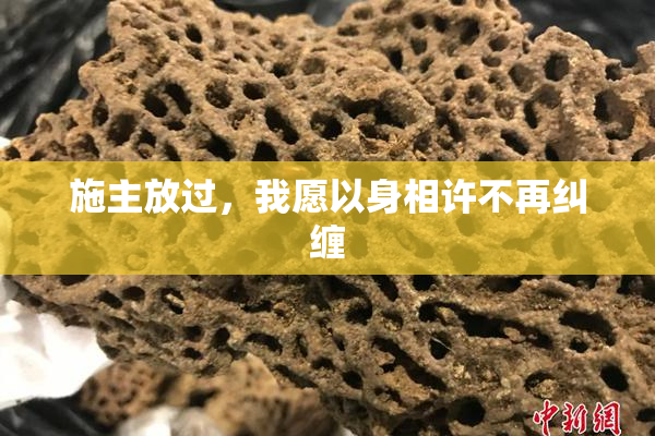 施主放过，我愿以身相许不再纠缠