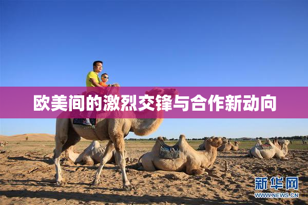 欧美间的激烈交锋与合作新动向