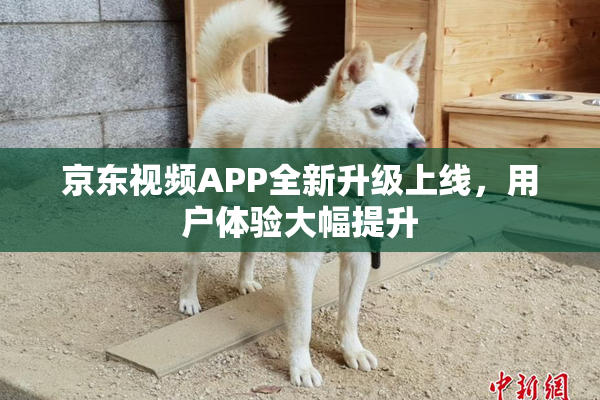 京东视频APP全新升级上线，用户体验大幅提升