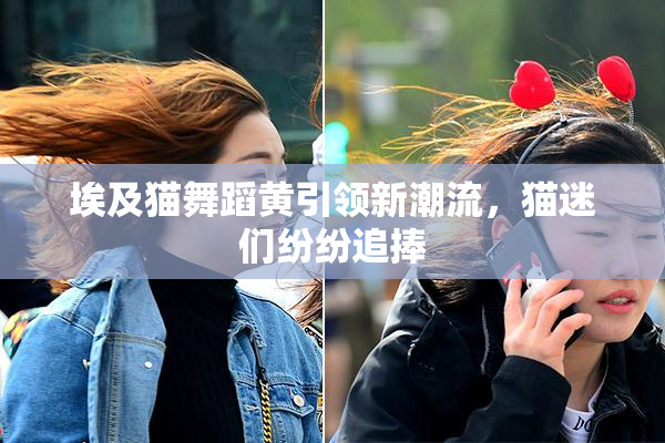 埃及猫舞蹈黄引领新潮流，猫迷们纷纷追捧