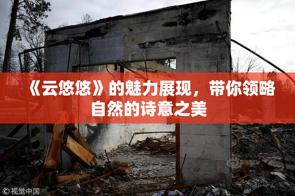 《云悠悠》的魅力展现，带你领略自然的诗意之美