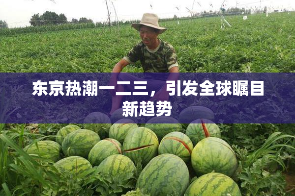 东京热潮一二三，引发全球瞩目新趋势