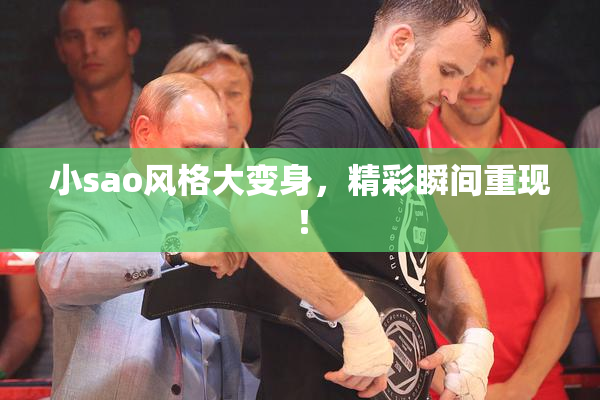 小sao风格大变身，精彩瞬间重现！