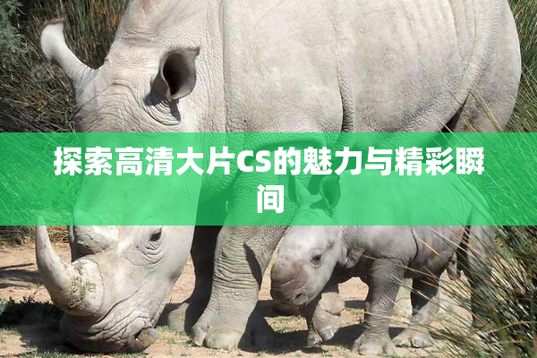 探索高清大片CS的魅力与精彩瞬间