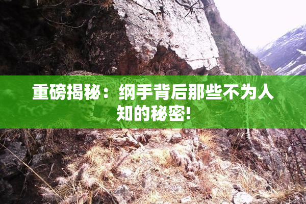 重磅揭秘：纲手背后那些不为人知的秘密!