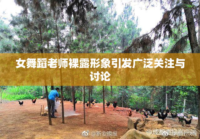 女舞蹈老师裸露形象引发广泛关注与讨论