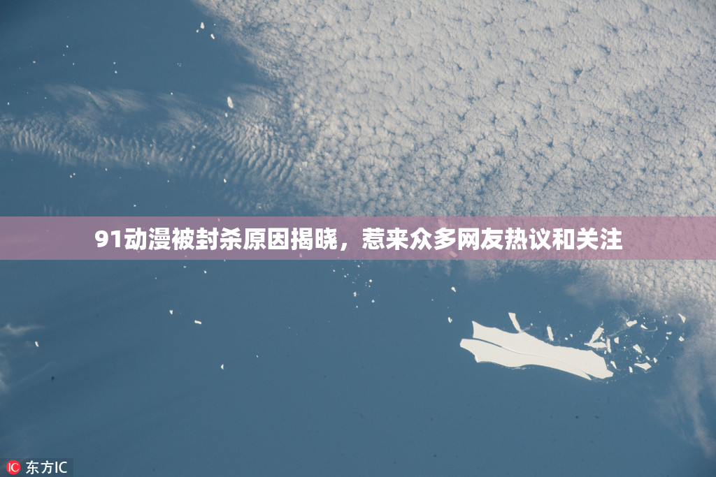 91动漫被封杀原因揭晓，惹来众多网友热议和关注