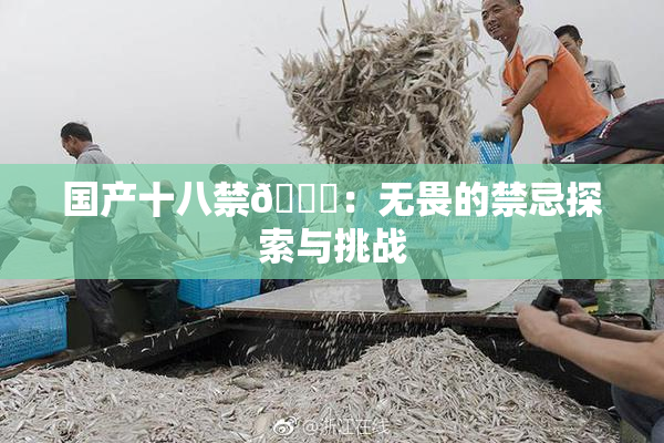 国产十八禁🔞：无畏的禁忌探索与挑战