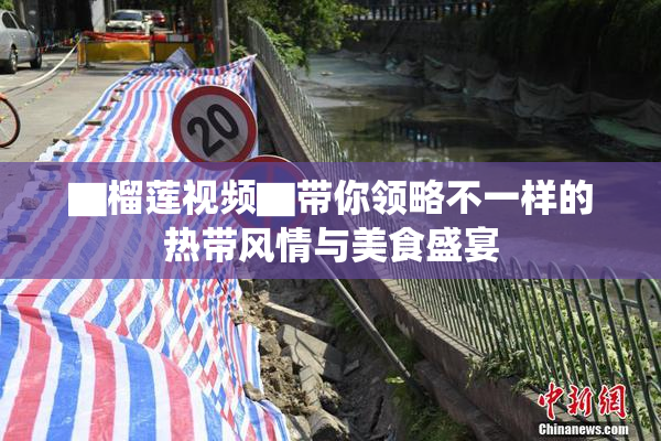 ▇榴莲视频▇带你领略不一样的热带风情与美食盛宴