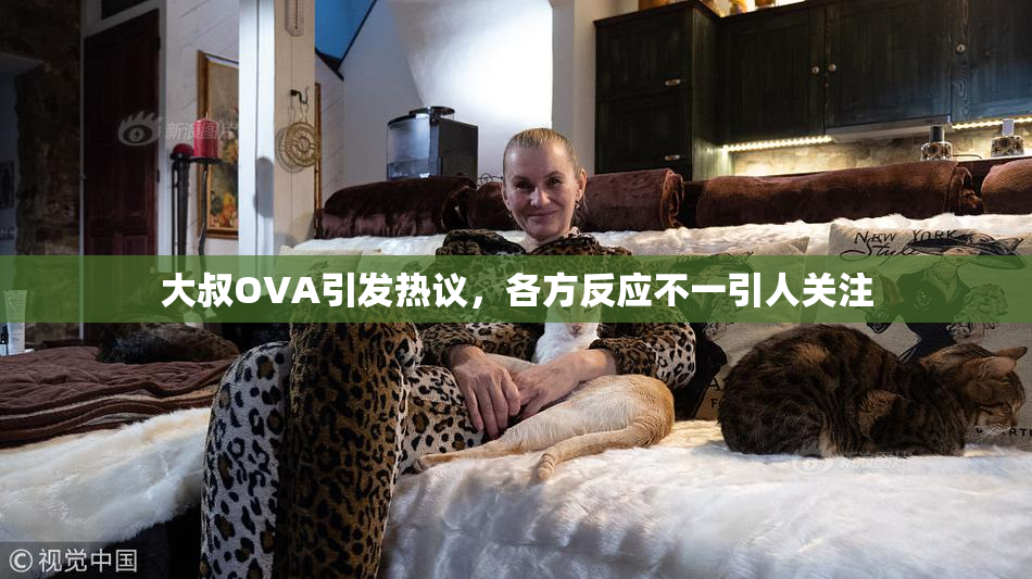 大叔OVA引发热议，各方反应不一引人关注