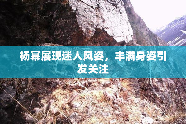 杨幂展现迷人风姿，丰满身姿引发关注